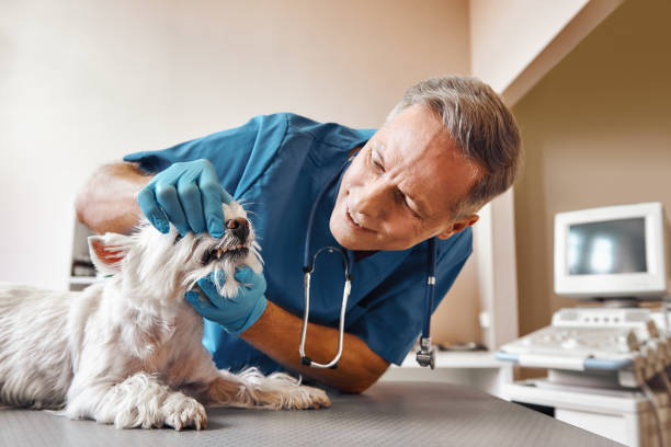 Best Emergency Gum Treatment in Clarksdale, MS